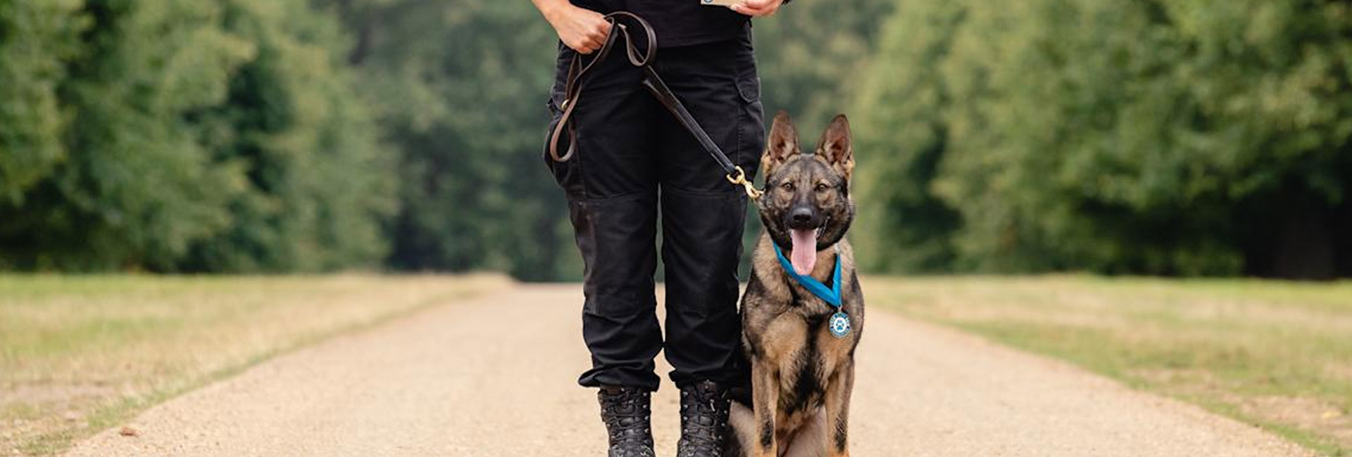 Licensed Dog Handlers